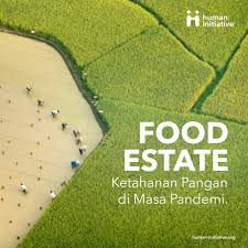 "Food Estate: Between Food Security Ambitions and the Threat of Ecological Disaster"